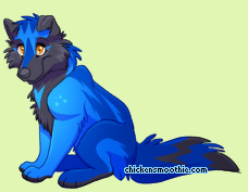 Pet