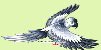 Pet