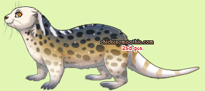 Pet