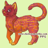 Pet