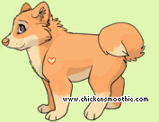 Pet