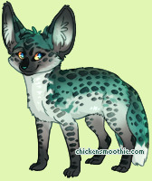 Pet