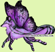 Pet
