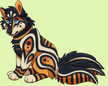 Pet