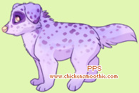 Pet