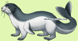 Pet