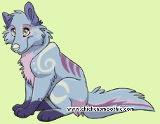 Pet
