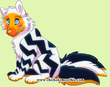Pet