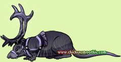 Pet