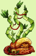 Pet