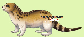 Pet