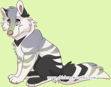 Pet