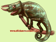 Pet