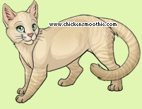 Pet