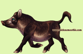 Pet