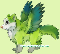 Pet