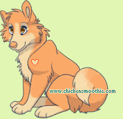 Pet