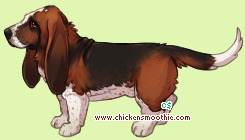 Pet