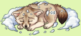 Pet