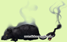 Pet