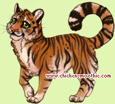 Pet