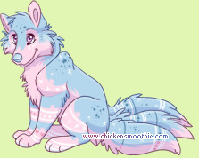 Pet