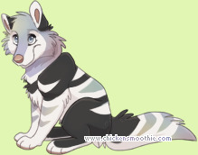 Pet