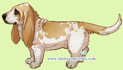 Pet