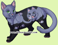 Pet