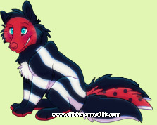 Pet