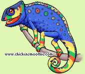 Pet