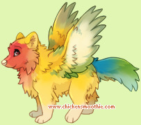 Pet