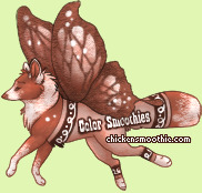 Pet