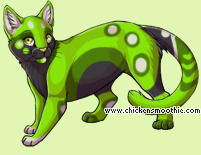 Pet