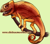 Pet