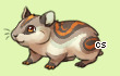 Pet