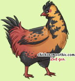 Pet