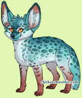 Pet