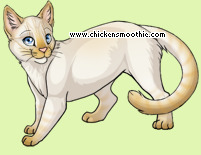 Pet