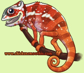 Pet