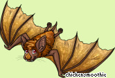 Pet