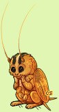 Pet