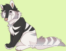 Pet