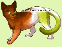 Pet