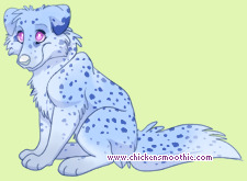 Pet