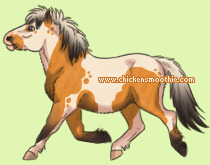 Pet