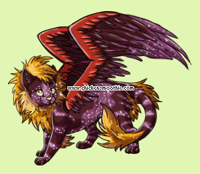 Pet