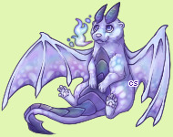 Pet