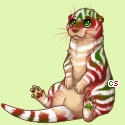 Pet