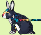 Pet